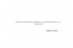 Brigitta